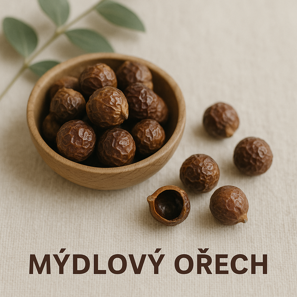 Mýdlový ořech: přírodní poklad pro vaše zdraví, domov i planetu 🌿