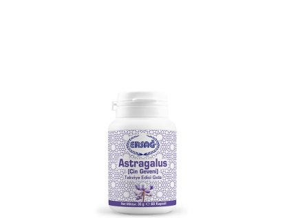 ASTRAGALUS (KOZINEC BLANITÝ) 36 G (60 KAPS)