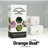 Orange Bud
