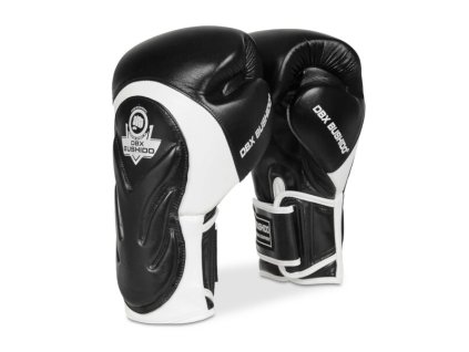 Boxerské rukavice DBX BUSHIDO BB5 (Velikost 10oz)