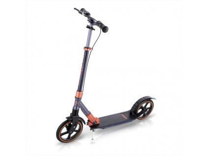 Koloběžka NILS Extreme HM230