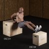 Plyo Box HMS DSC01