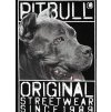 Pánské tričko Pitbull West Coast Origin černá