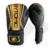 Boxerské rukavice Bytomic Axis V2 černo-zlatá