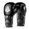 Boxerské rukavice DBX BUSHIDO Warrior BLACK (Velikost 10oz.)