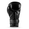 Boxerské rukavice DBX BUSHIDO Warrior BLACK (Velikost 10oz.)
