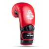 Boxerské rukavice DBX BUSHIDO Warrior RED (Velikost 10oz.)