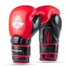 Boxerské rukavice DBX BUSHIDO Warrior RED (Velikost 10oz.)