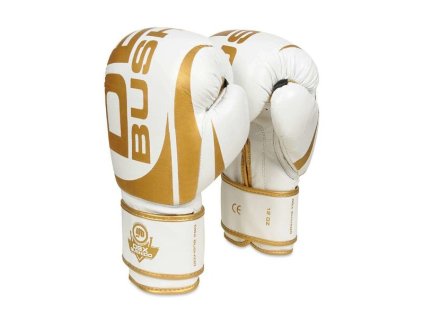 Boxerské rukavice DBX BUSHIDO DBD-B-2 v1 (Velikost 10oz)