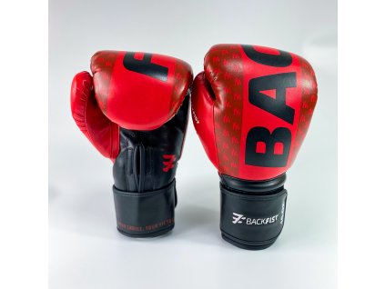 Boxerské rukavice BackFist Gemini Boxing AL (Velikost 10oz)