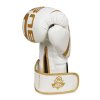 Boxerské rukavice DBX BUSHIDO DBD-B-2 v1 (Velikost 10oz)