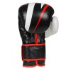 Boxerské rukavice DBX BUSHIDO B-2v7 (Velikost 10oz)