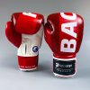 Boxerské rukavice BackFist Gemini Taekwon-do ITF červená (nový design) 10oz