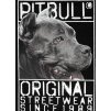 Pánské tričko Pitbull West Coast Origin černá (Barva černá, Velikost M)