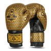 Boxerské rukavice DBX BUSHIDO B-2v23 (Velikost 10oz)