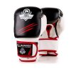 Boxerské rukavice DBX BUSHIDO DBD-B-2 v3 (Velikost 10oz)