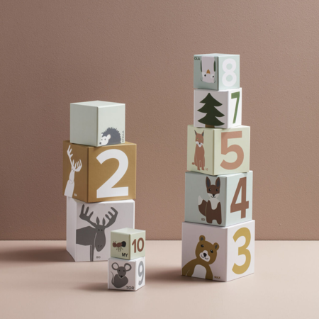 Zručnost dětí a motorické hračky