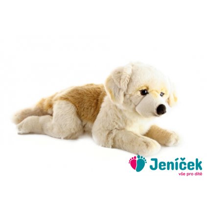 Plyš Retrívr velký