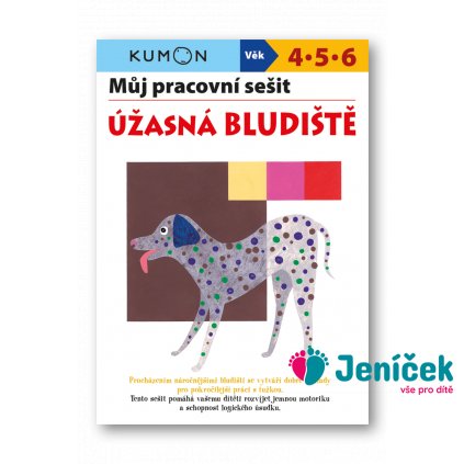 Můj pracovní sešit Úžasná bludiště v