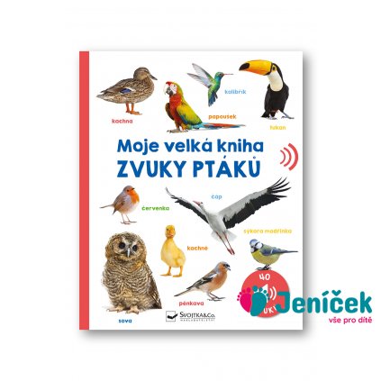Moje velká kniha Zvuky ptáků