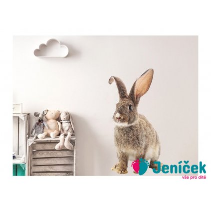 Nálepka na zeď - zvířátka - králík