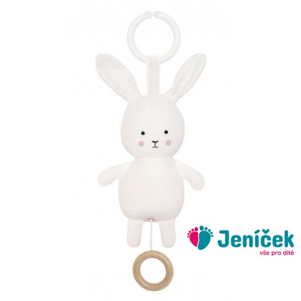n0136 musical bunny