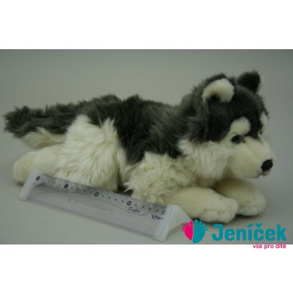Plyš Husky