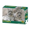 Puzzle 3D - Sněžní leopardi