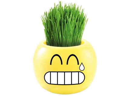 8138 happy bonsai hilarity 2 keramicky kvetinac smajlik so zivou bonsai travou 7 5 x 7 7 x 6 6 cm zlty