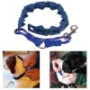 8777 1 the perfect dog command collar plastovy ostnaty obojok pre psa od 18 do 61 cm
