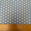 003858 plátno hvězdičky bílé na světle modré metr
