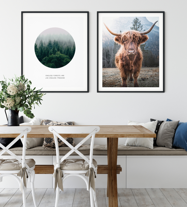 Nové plakáty s ikonickým Highland cattle