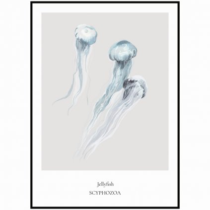 Plakát Jellyfish