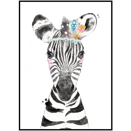 126 zebra indián