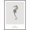Plakát Seahorse