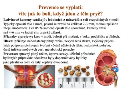 Uroregen čaj 8 druhů bylin s brusinkou 20 x 1,5 g