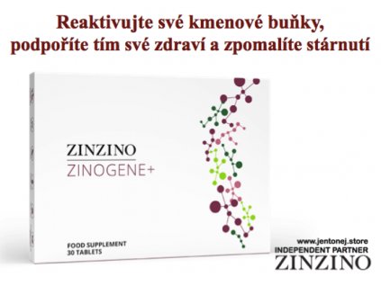 ZinZino ZINOGENE+ 30 tablet