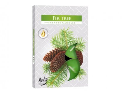 AURA Čajová vonná svíčka FIR TREE (jedle) 6 ks
