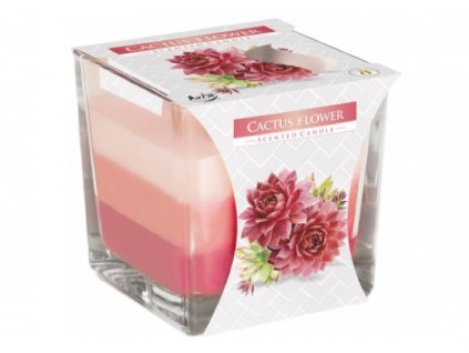 Svíčka ve skle tříbarevná 170 g CACTUS FLOWER (kaktusové květy)