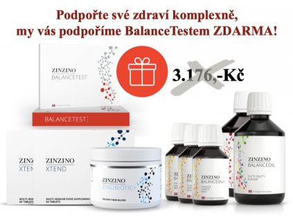 ZinZino premium kit b