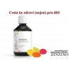 ZinZino BALANCE OIL+ Tutti Frutti, 300 ml