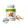 Cordyceps CS-4 90 kapslí á 500 mg extraktu (30 % polysacharidů)