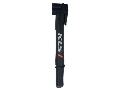 81253 82856 pulse dual pump