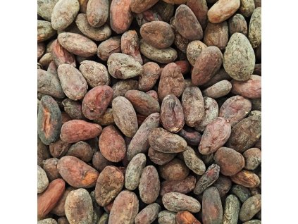 criollo venezuela