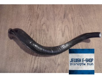 Obrovský šofar cca 65 cm dlouhý, krásná práce!