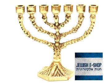 Židovský svícen - Menora - Menorah 9 cm