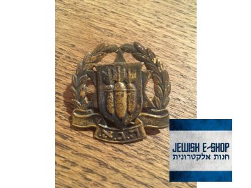 Odznáček - ISRAEL ARMY ZAHAL - IDF - rarita III