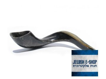 Large Black Kosher Rams Horn Shofar Polished+85 714 920x800