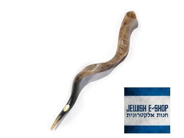 High Quality Yemenite Shofar Kosher Horn Polished+85 3365 920x800