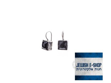 e156 onyx 0001 1